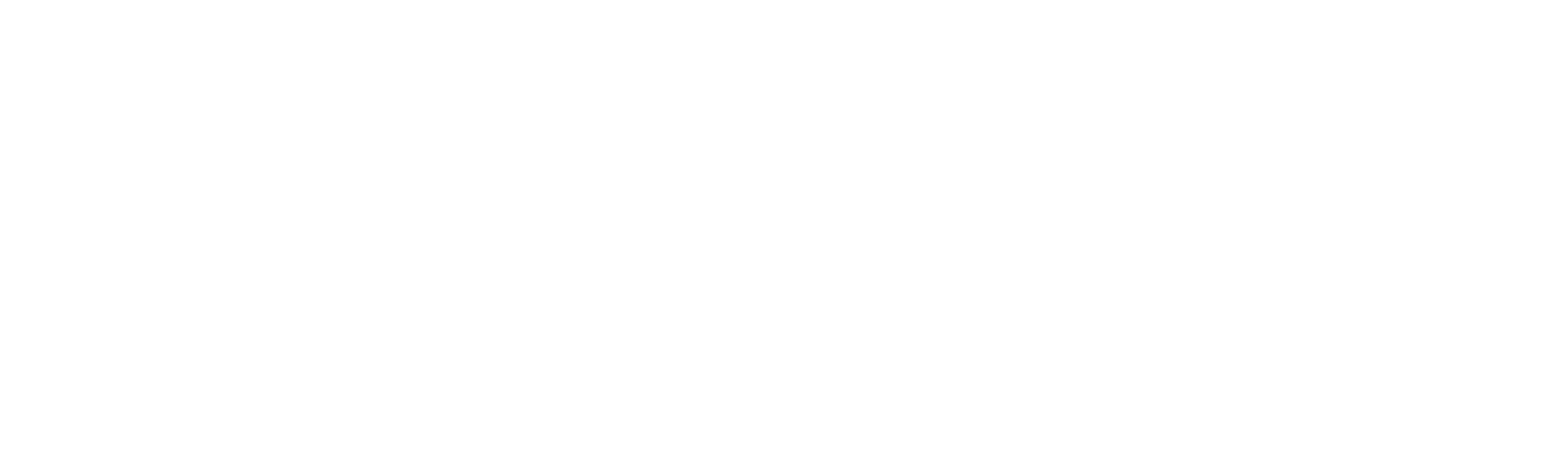 Social Net Agency Group S.A.C.